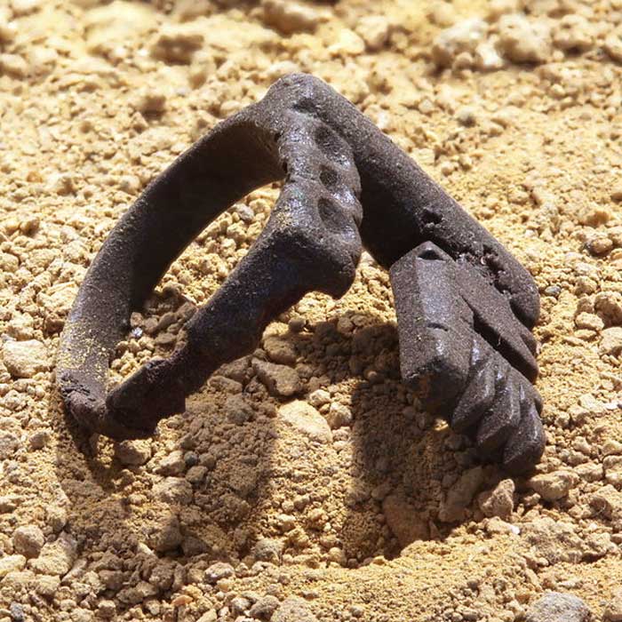 Pedida de mano png