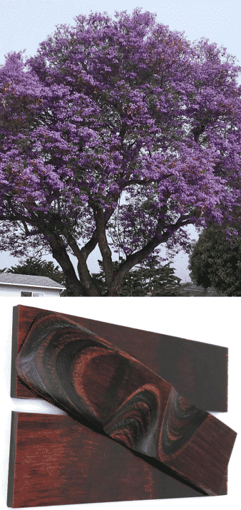 árbol jaracandá madera dura oscura