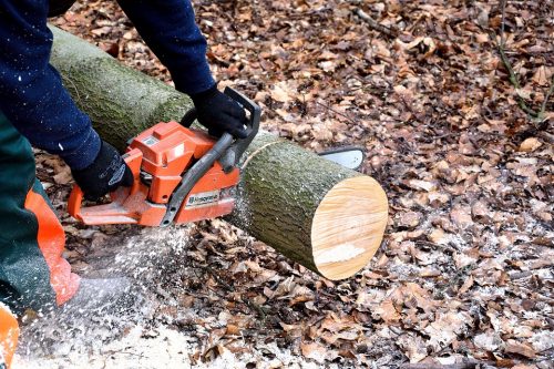 poda de la madera