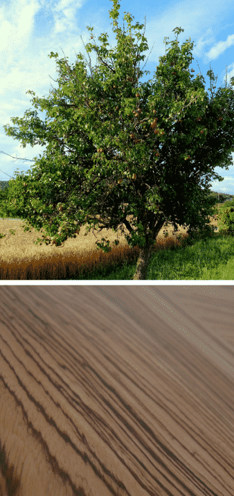 peral árbol frutal veteado madera