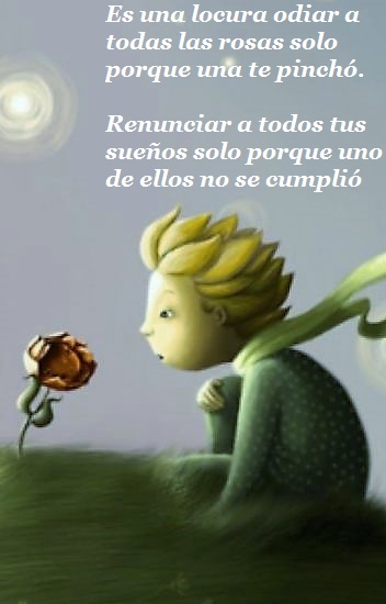 el-principito-y-la-rosa el-principito-y-la-rosa